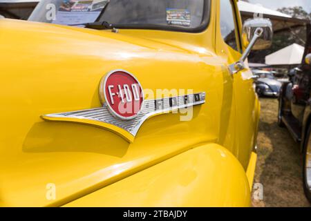 Dettaglio del veicolo Ford F-100 1957 in mostra in una fiera d'auto d'epoca nella città di Londrina, Brasile. Riunione annuale sulle auto d'epoca. Foto Stock