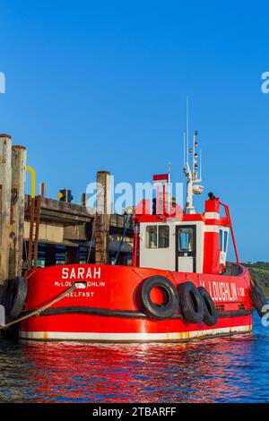 Barca pilota, porto di Larne, contea di Antrim, Irlanda del Nord, Regno Unito Foto Stock