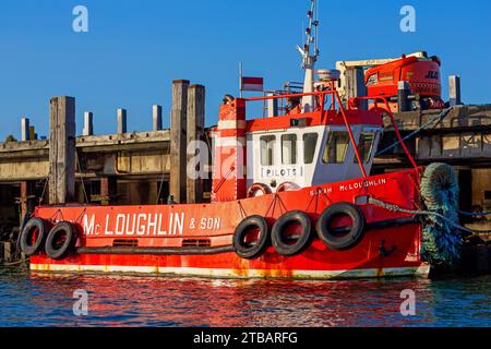 Barca pilota, porto di Larne, contea di Antrim, Irlanda del Nord, Regno Unito Foto Stock