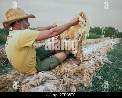 divertente agricoltore adulto che dorme un pisolino sul pacciame di lana di pecora pronto per piantare cavolo nell'orto biologico durante l'estate Foto Stock