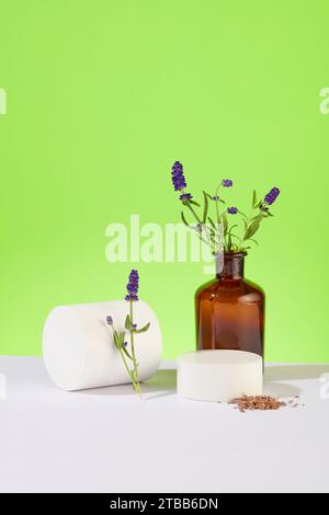 I fiori di lavanda sono disposti in un vaso marrone, due piattaforme bianche e fiori di lavanda essiccati su uno sfondo bianco-verde. L'essenza di lavanda può lenire Foto Stock