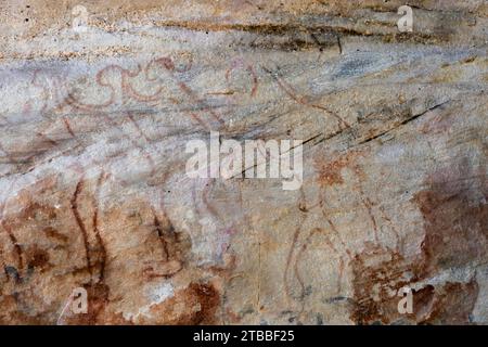 PHA Phak Wan, pitture rupestri preistoriche a enormi massi, distretto di Song Dao, Sakon Nakhon, Thailandia, Sud-Est asiatico, Asia Foto Stock