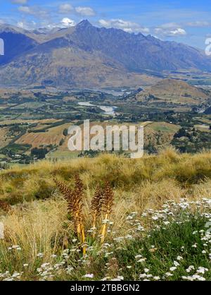 vista sul basso shotover pianeggiante di erba arborea, e dal campo di alci al lago hayes, dalla vetta coronet. vicino a queenstown, sull'isola meridionale della nuova zelanda Foto Stock