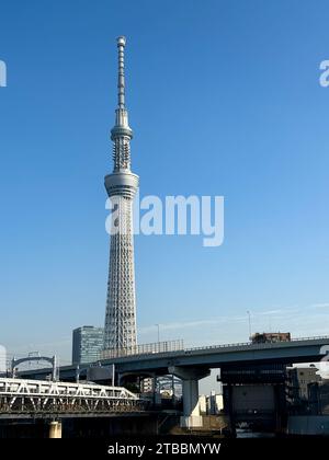 Completato nel 2012, il Tokyo Skytree si trova nel quartiere Sumida di Tokyo, in Giappone, ed è una delle strutture più alte del mondo. Foto Stock