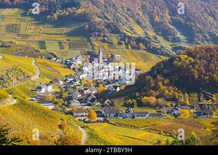 Vigneti in autunno, Mayschoß con chiesa parrocchiale, regione di coltivazione del vino rosso Ahrtal, Pinot Nero e vino rosso portoghese vengono coltivati qui, Eifel, Reno Foto Stock