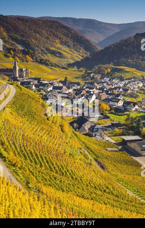 Vigneti in autunno, Mayschoß con chiesa parrocchiale, regione di coltivazione del vino rosso Ahrtal, Pinot Nero e vino rosso portoghese vengono coltivati qui, Eifel, Reno Foto Stock