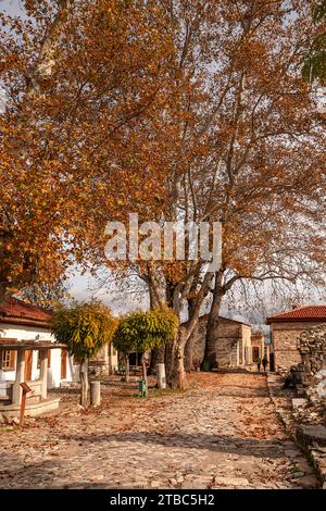 Stratonikeia è una delle rare città antiche in cui l'architettura carica, romana e ottomana si intrecciano. Foto Stock