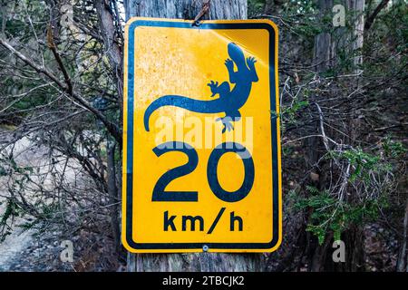 Segnale del limite di velocità sul lato della strada per proteggere gli animali selvatici. Tasmania, Australia. Foto Stock