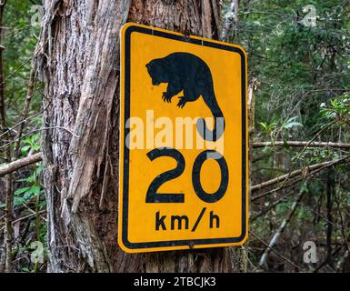 Segnale del limite di velocità sul lato della strada per proteggere gli animali selvatici. Tasmania, Australia. Foto Stock