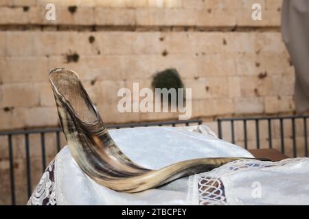 Un corno di ariete lucido usato come shofar e soffiato durante la festa ebraica di Rosh Hashanah e durante il mese ebraico di Elul. Foto Stock