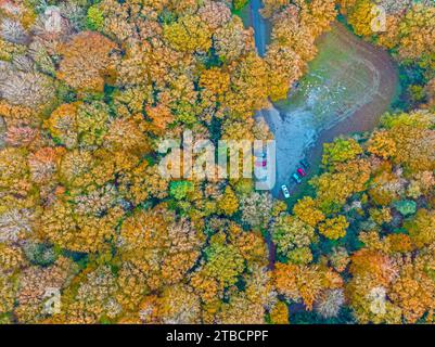 Colpo aereo dagli alberi in autunno nei Paesi Bassi Foto Stock