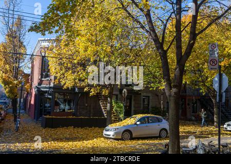 Autunno a Montreal, Quebec, Canada Foto Stock