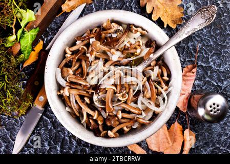 Funghi sott'aceto selvatico nella ciotola Foto Stock