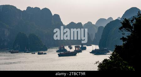 Vista panoramica delle navi da crociera della Baia di ha Long in Vietnam Foto Stock