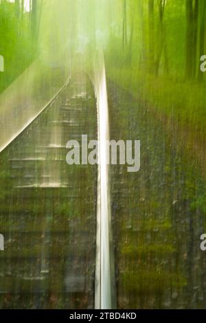 I binari ferroviari sul letto di ghiaia brillano alla luce del sole, la foresta decidua in primavera, i faggi di rame (Fagus sylvatica) in maggio, possono essere verdi, effetto strofinato Foto Stock