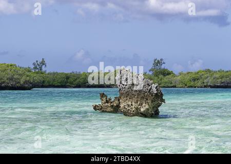 Mangrovie, rocce di funghi, acque blu turchesi, cielo blu con nuvole bianche, sito patrimonio dell'umanità dell'UNESCO, atollo di Aldabra, Seychelles Foto Stock