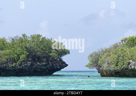 Mangrovie, rocce di funghi, acque blu turchesi, cielo blu con nuvole bianche, sito patrimonio dell'umanità dell'UNESCO, atollo di Aldabra, Seychelles Foto Stock