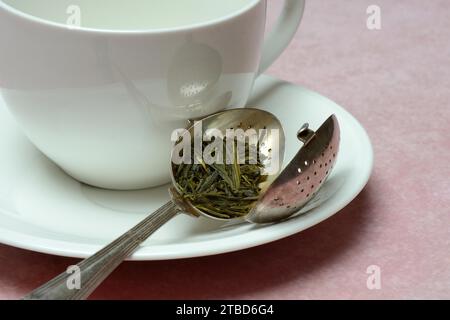 Foglie di tè in una succhieruola di tè (Sencha), tè verde Foto Stock