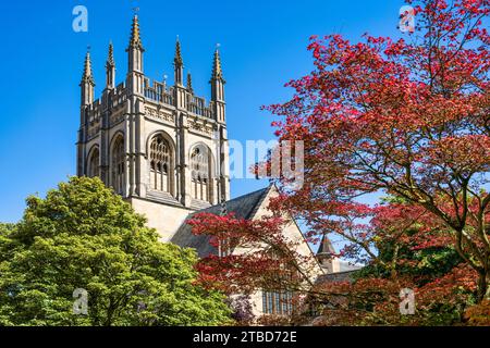 Campanile del Merton College Chapel, Università di Oxford, da Grove Walk nel centro di Oxford, Oxfordshire, Inghilterra, Regno Unito Foto Stock