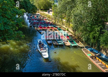 Punts sul fiume Cherwell, guardando a sud dal Magdalen Bridge nel centro di Oxford, Oxfordshire, Inghilterra, Regno Unito Foto Stock