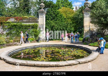 Laghetto per pesci nell'Oxford Botanic Garden, Università di Oxford, nel centro di Oxford, Oxfordshire, Inghilterra, Regno Unito Foto Stock