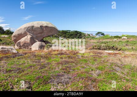 Ploumanac'h, Perros-Guirec, Côtes d'Armor, Bretagne, Francia Foto Stock