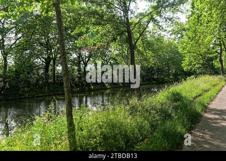 promenade le Long du Canal du Midi près d'Escalquens en Midi pyrennées: Passeggia lungo il Canal du Midi vicino a Escalquens nei Midi-Pirenei Foto Stock