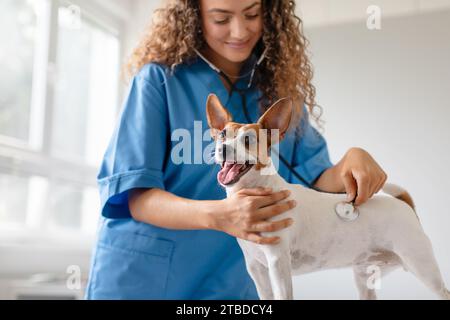 Veterinario controllo della salute del cane in clinica Foto Stock