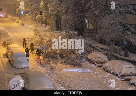 L'albero spazzato via da un pesante carico di neve, i vigili del fuoco sgomberano la strada, Monaco Foto Stock