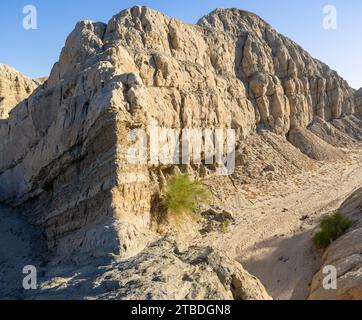 Box Canyon Wash, un canyon secco, polveroso e vuoto nella California meridionale. Foto scattate alla luce del mattino Foto Stock