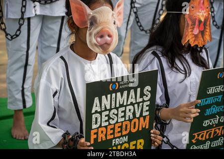 Nuova Delhi, India. 6 dicembre 2023. Un volontario della Mercy for Animals (organizzazione no-profit), vestito da prigioniero in manette e manette, indossato con una maschera di maiale, regge un cartello con un messaggio convincente: "Tutti gli animali meritano di essere liberi" durante la dimostrazione a Jantar Mantar. La giornata dei diritti degli animali, un'occasione significativa dedicata alla sensibilizzazione sul trattamento etico degli animali, funge da piattaforma per questi sostenitori per esprimere le loro preoccupazioni e spingere per un cambiamento positivo nel trattamento degli animali. (Foto di Pradeep Gaur/SOPA Images/Sipa USA) credito: SIPA USA/Alamy Live News Foto Stock