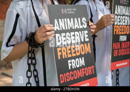 Nuova Delhi, India. 6 dicembre 2023. Un volontario della Mercy for Animals (organizzazione no-profit), vestito da prigioniero in manette e manette, tiene un cartello con un messaggio convincente: "Tutti gli animali meritano di essere liberi" durante la dimostrazione a Jantar Mantar. La giornata dei diritti degli animali, un'occasione significativa dedicata alla sensibilizzazione sul trattamento etico degli animali, funge da piattaforma per questi sostenitori per esprimere le loro preoccupazioni e spingere per un cambiamento positivo nel trattamento degli animali. (Foto di Pradeep Gaur/SOPA Images/Sipa USA) credito: SIPA USA/Alamy Live News Foto Stock