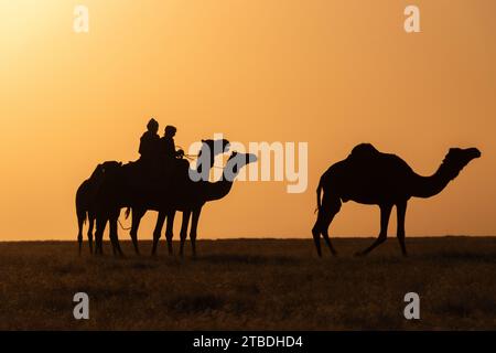 magico tramonto nel deserto, ciad, africa Foto Stock