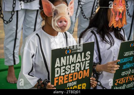 Nuova Delhi, India. 6 dicembre 2023. Un volontario della Mercy for Animals (organizzazione no-profit), vestito da prigioniero in manette e manette, indossato con una maschera di maiale, tiene un cartello con un messaggio convincente: "Tutti gli animali meritano di essere liberi" durante la dimostrazione a Jantar Mantar. La giornata dei diritti degli animali, un'occasione significativa dedicata alla sensibilizzazione sul trattamento etico degli animali, funge da piattaforma per questi sostenitori per esprimere le loro preoccupazioni e spingere per un cambiamento positivo nel trattamento degli animali. Crediti: ZUMA Press, Inc./Alamy Live News Foto Stock