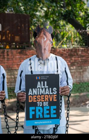 Nuova Delhi, India. 6 dicembre 2023. Un volontario della Mercy for Animals (organizzazione no-profit), vestito da prigioniero in manette e manette, indossato con una maschera di cavallo, tiene un cartello con un messaggio convincente: "Tutti gli animali meritano di essere liberi" durante la dimostrazione a Jantar Mantar. La giornata dei diritti degli animali, un'occasione significativa dedicata alla sensibilizzazione sul trattamento etico degli animali, funge da piattaforma per questi sostenitori per esprimere le loro preoccupazioni e spingere per un cambiamento positivo nel trattamento degli animali. Crediti: ZUMA Press, Inc./Alamy Live News Foto Stock