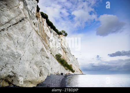 Mons Klint, una scogliera sull'isola di Mon nel mar baltico, Danimarca. Foto Stock