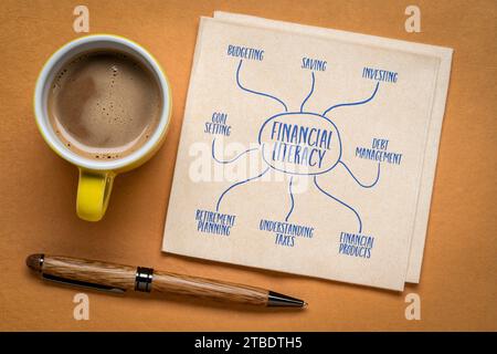 infografiche sull'alfabetizzazione finanziaria o schizzi di mappe mentali su un tovagliolo con caffè - concetto di finanza personale e istruzione Foto Stock