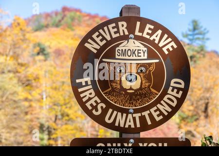 Smokey the Bear segnale di sicurezza antincendio alle Anna Ruby Falls di Helen, Georgia. (USA) Foto Stock