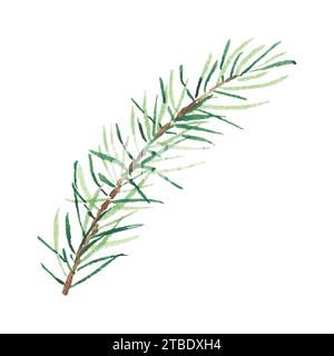 Rami di abete o pino verde acquerello natalizio isolati su sfondo bianco. Illustrazione per biglietti di auguri, banner, inviti, calendari, logo Foto Stock