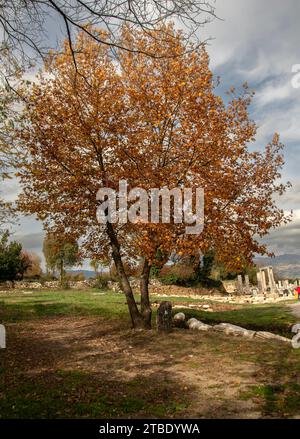 Stratonikeia è una delle rare città antiche in cui l'architettura carica, romana e ottomana si intrecciano. Foto Stock