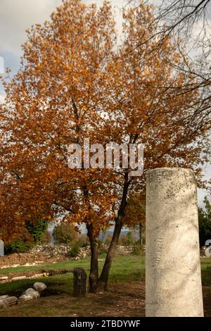 Stratonikeia è una delle rare città antiche in cui l'architettura carica, romana e ottomana si intrecciano. Foto Stock