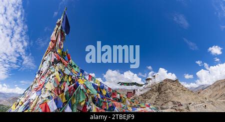Il monastero Namgyal Tsemo Gompa, le colline di Tsenmo, Leh, Ladakh, Jammu e Kashmir, India, Asia Foto Stock