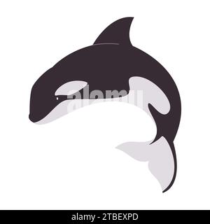orca di colore bianco e nero grande animale mammifero marino grande predatore killer natura selvaggia oceano Illustrazione Vettoriale