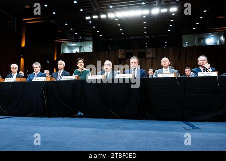 Washington, Stati Uniti. 6 dicembre 2023. Jane Fraser, CEO di Citigroup, parla ad un'audizione del Comitato per le banche, gli alloggi e gli affari urbani del Senato presso il Campidoglio degli Stati Uniti. Credito: SOPA Images Limited/Alamy Live News Foto Stock