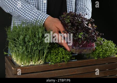 Uomo con cassa di legno di diversi microgreen freschi su sfondo nero, primo piano Foto Stock