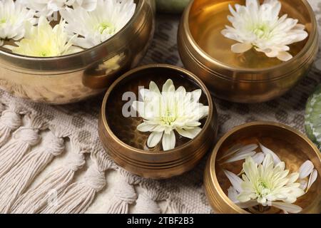 Ciotole tibetane con acqua e splendidi fiori di crisantemo sul tavolo, primo piano Foto Stock
