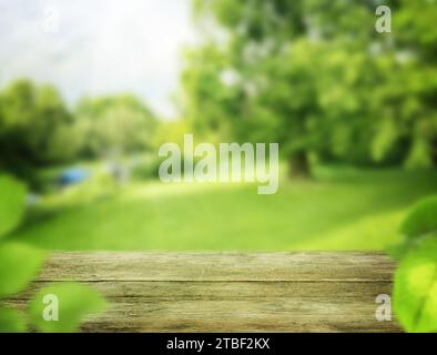 Tavolo di legno vuoto nel parco nelle giornate di sole. Spazio per il design Foto Stock