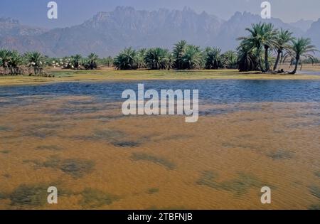 I Monti Hajar sono una delle catene montuose più alte della penisola araba, [ citazione necessaria ] condivisa tra il nord dell'Oman e l'est Unito Foto Stock