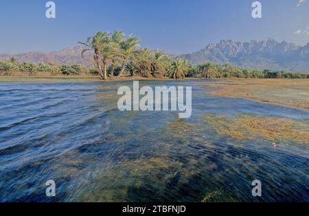 I Monti Hajar sono una delle catene montuose più alte della penisola araba, [ citazione necessaria ] condivisa tra il nord dell'Oman e l'est Unito Foto Stock