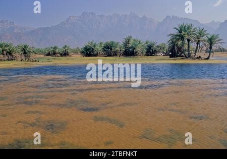 I Monti Hajar sono una delle catene montuose più alte della penisola araba, [ citazione necessaria ] condivisa tra il nord dell'Oman e l'est Unito Foto Stock